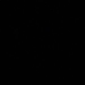 Meet your Posher, Emmaline